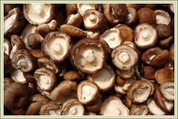 Self-Cultivated Shiitake Mushrooms